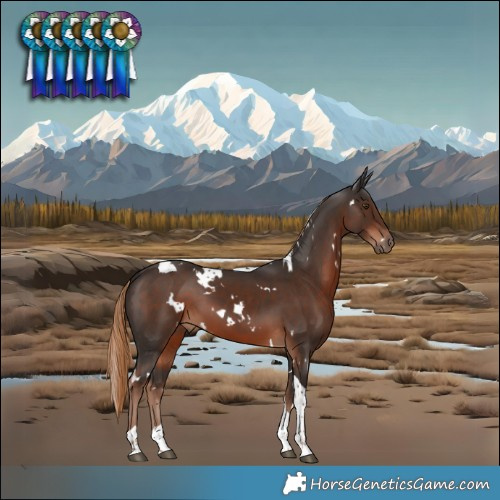 Horse Color:White Spotted Liver Chestnut Tobiano 