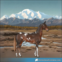 Horse Color:White Spotted Liver Chestnut Tobiano 