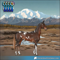 Horse Color:White Spotted Liver Chestnut Tobiano 