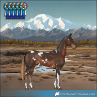 Horse Color:White Spotted Liver Chestnut Tobiano