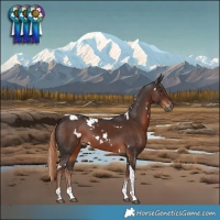 Horse Color:White Spotted Liver Chestnut Tobiano