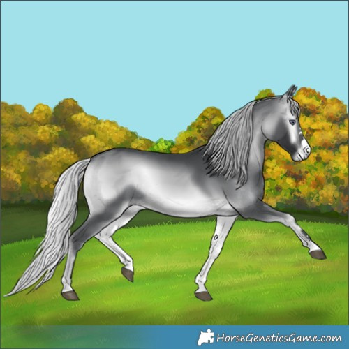 Horse Color:Silver Brown Chinchilla Onyx 