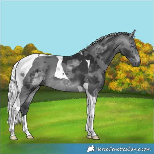 Horse Color:Silver Brown Chinchilla Merle Tobiano 