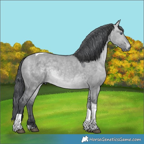 Horse Color:Brown Chinchilla Dun Merle Tobiano 