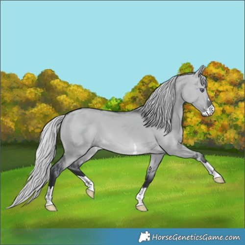 Horse Color:Silver Brown Chinchilla Dun 
