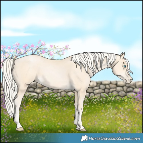 Horse Color:Palomino Pearl 