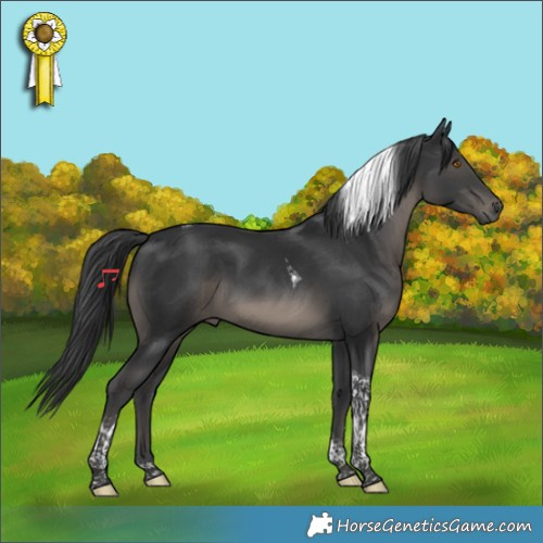 Horse Color:Black Tobiano 