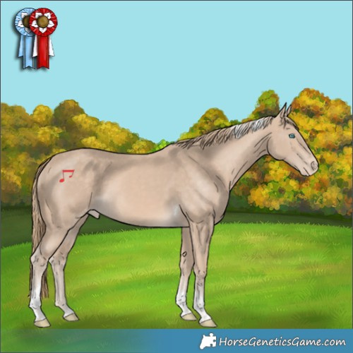 Horse Color:Perlino Tobiano Appaloosa 
