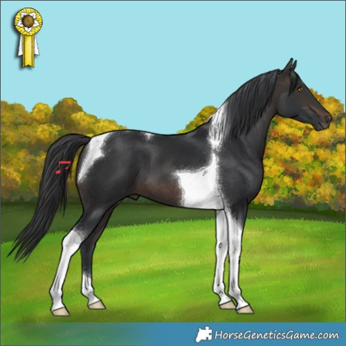 Horse Color:Brown Tobiano 