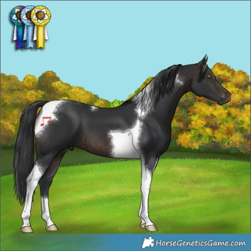 Horse Color:Brown Tobiano 