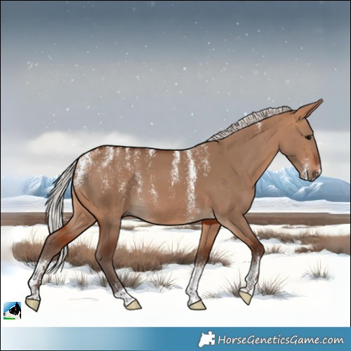 Horse Color:Powder White Silver Bay Dun 