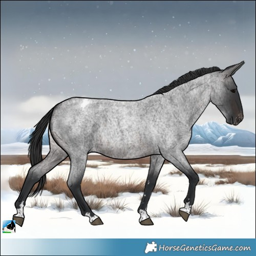 Horse Color:Brown Roan Varnish 