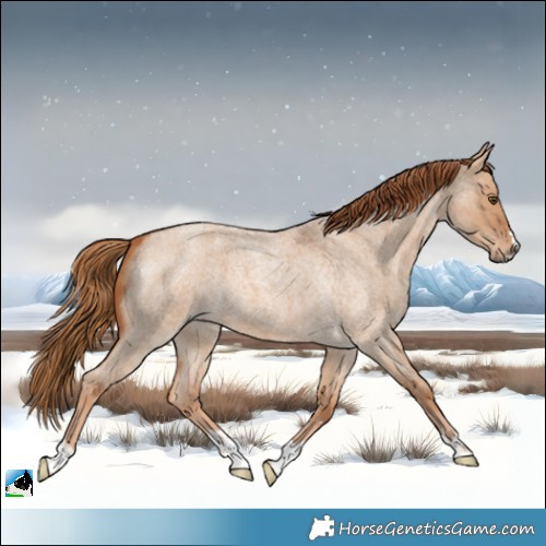 Horse Color:Red Dun Roan 