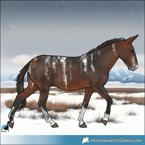 Horse Color:Powder White Bay 