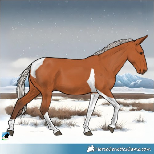 Horse Color:Silver Bay Tobiano 
