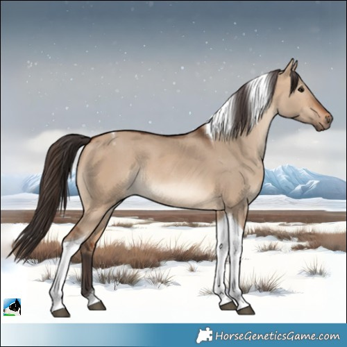 Horse Color:Bay Dun Tobiano Rabicano 