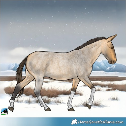 Horse Color:Buckskin Roan Tobiano 