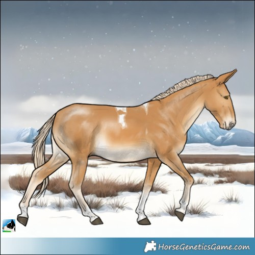 Horse Color:Palomino Tobiano Rabicano 