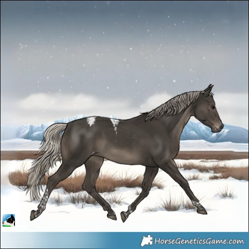 Horse Color:Gray Silver Smoky Black Tobiano Varnish 