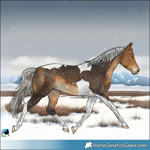 Horse Color:Silver Buckskin Tobiano 