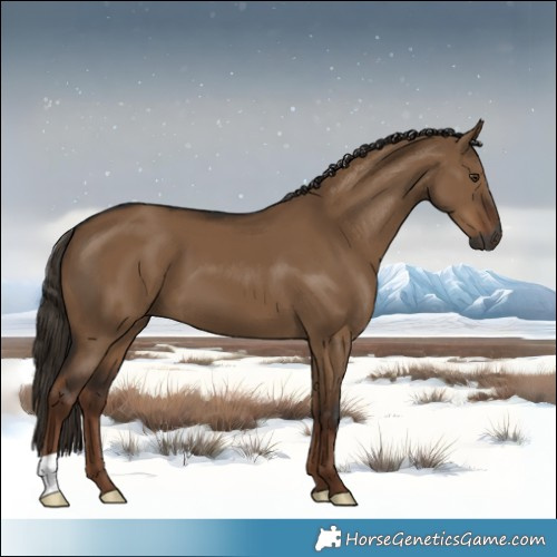 Horse Color:Gray Liver Red Dun 