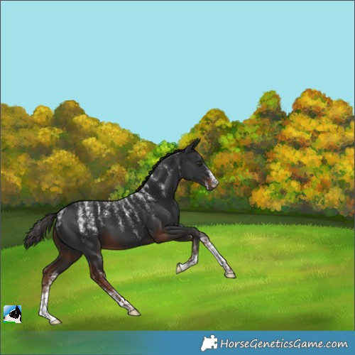 Horse Color:Powder White Liver Chestnut 