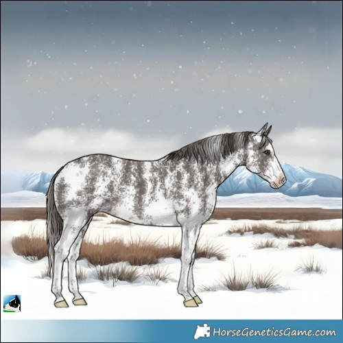 Horse Color:Liver Chestnut Sabino Rabicano 
