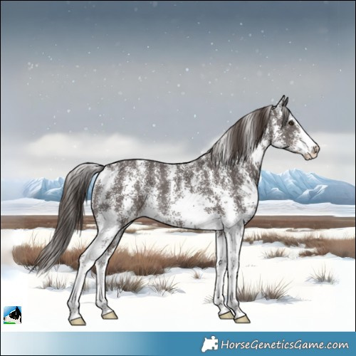Horse Color:Liver Chestnut Sabino Rabicano 