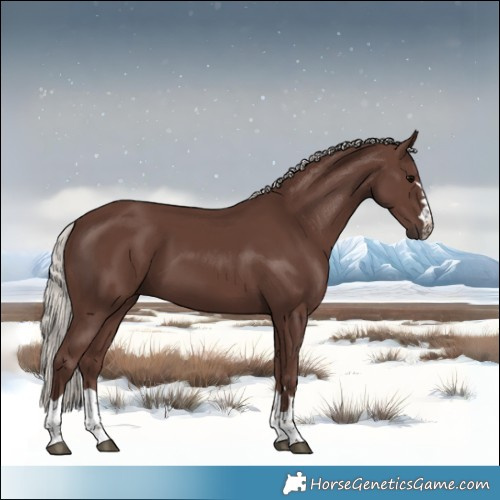 Horse Color:Silver Black 