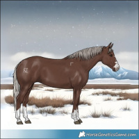 Horse Color:Silver Black 