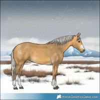 Horse Color:Silver Buckskin 