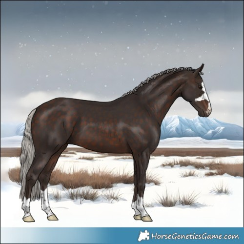 Horse Color:Silver Brown 