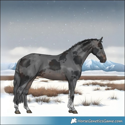 Horse Color:Brown Merle Tobiano