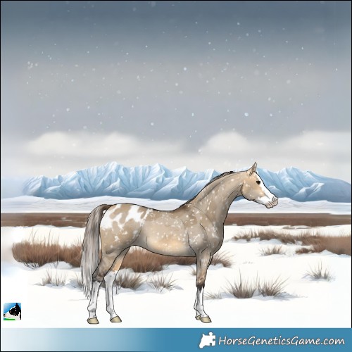 Horse Color:Buckskin Dun Merle Splash Blanket 