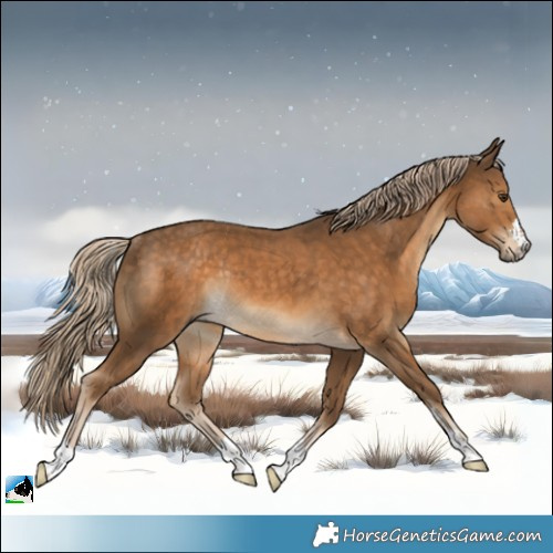 Horse Color:Chocolate Palomino Rabicano