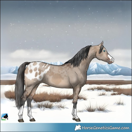 Horse Color:Bay Dun Merle Blanket