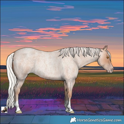 Horse Color:Silver Classic Champagne Roan 