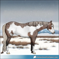 Horse Color:Gray Silver Bay Roan Frame Varnish 