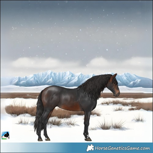 Horse Color:Brown 