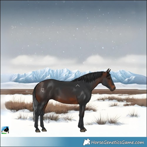 Horse Color:Brown 