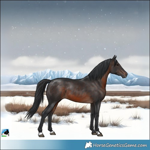 Horse Color:Brown Rabicano