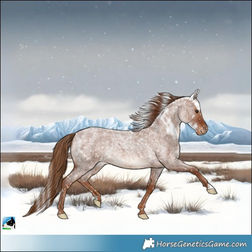 Horse Color:Red Roan Skewed LP Spotted