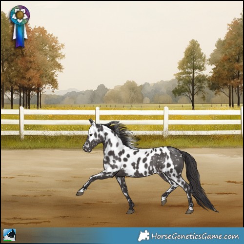 Horse Color:Smoky Black Skewed LP Spotted Rabicano 