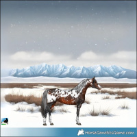 Horse Color:Bay Skewed LP Spotted