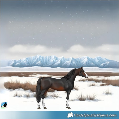 Horse Color:Brown 