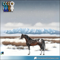 Horse Color:Brown Splash Blanket