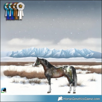 Horse Color:Brown Splash Blanket