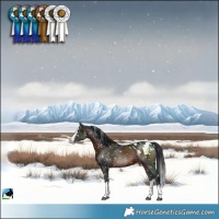 Horse Color:Brown Splash Blanket 