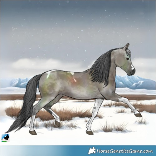 Horse Color:Grullo Merle Tobiano 