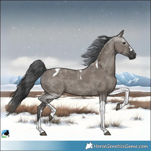 Horse Color:Grullo Merle Tobiano 